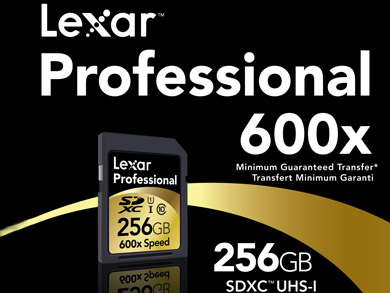 Leaxr 256gb SDXC main